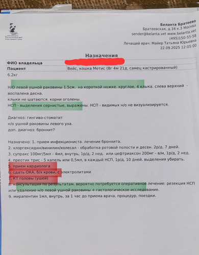 G2q JPzXIAAyzwY?format=jpg.jpg