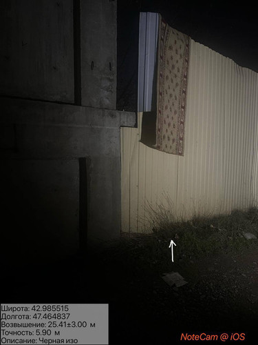 photo 30 2025 12 19 01 20 15.jpg