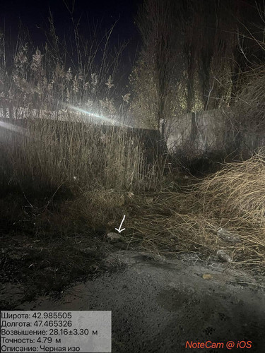 photo 26 2025 12 19 01 20 15.jpg