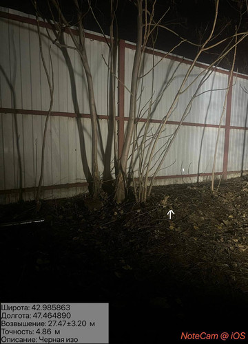 photo 29 2025 12 19 01 20 15.jpg