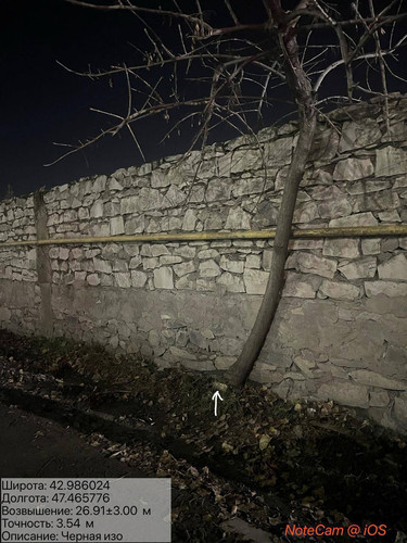 photo 28 2025 12 19 01 20 15.jpg