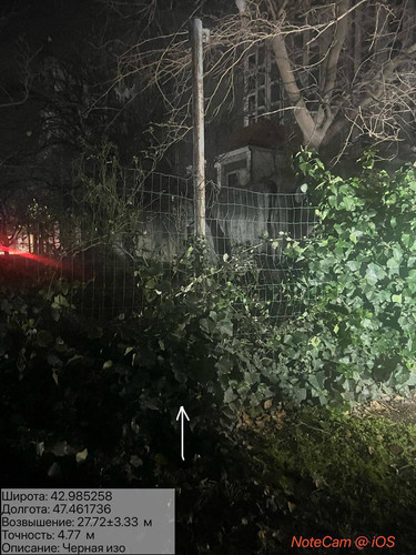 photo 31 2025 12 19 01 20 15.jpg