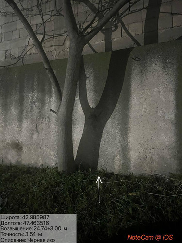 photo 34 2025 12 19 01 20 15.jpg