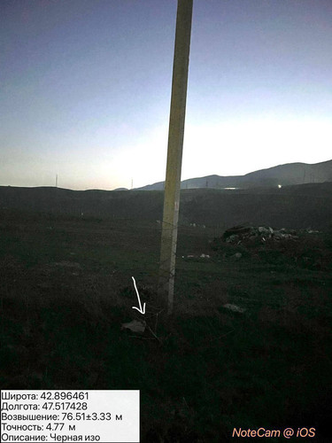 photo 20 2025 12 19 01 20 15.jpg