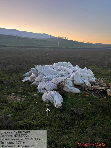 photo 9 2025 12 19 01 20 15.jpg