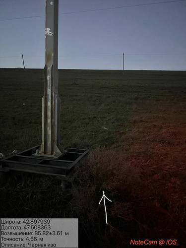 photo 4 2025 12 19 01 20 15.jpg