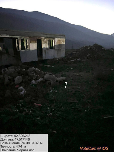 photo 2 2025 12 19 01 20 15.jpg