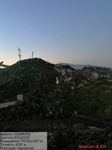 photo 11 2025 12 19 01 20 15.jpg