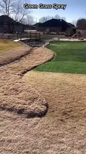 BaJZtEdY5ZV dyH3.jpg