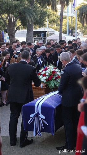 87dfeec21845.jpg