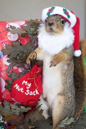 Santa Squirrel2.jpg