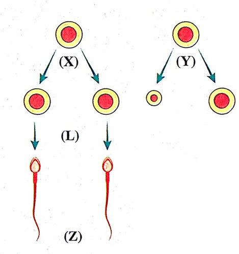 Picture1.jpg