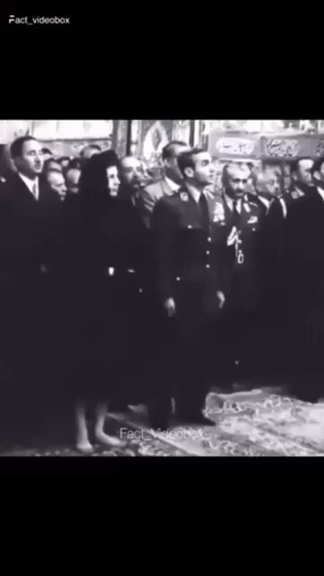 XJqSbkgX7WC52C8j.jpg