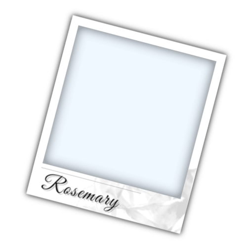 1000065010.png