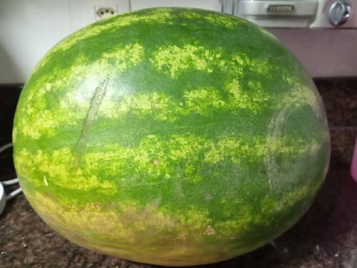 1000093585.jpg