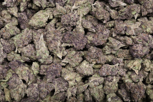 Black Runtz - AAA Light Dep