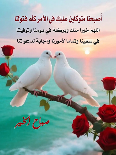 G8ajqkqakAQEBas.jpg