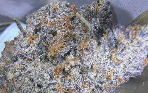 Thca Flower Products | Twistedminds.net.jpg