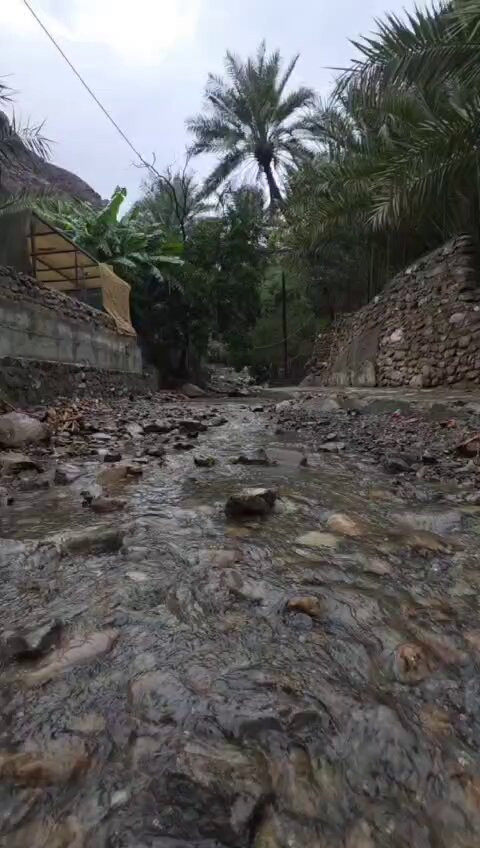Txh12poV3fnEaIIy.jpg