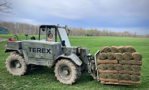 Top Quality Grass Sod in Springfield for Instant Curb Appeal.jpg