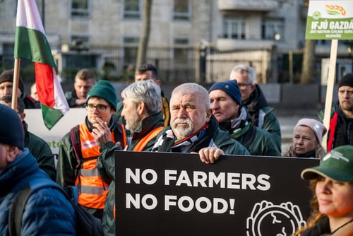 599936920 1495297341965630 5395914600632778075 n.jpg?stp=dst jpg s590x590 tt6& nc cat=101&cb2=99be92.jpg