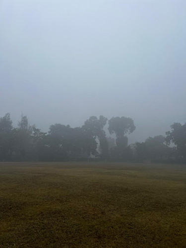 IMG 20251218 WA0017.jpg