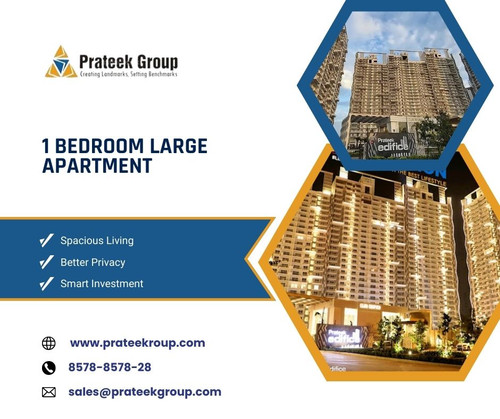 1 bedroom large apartment.jpg