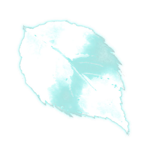 1000065031.png