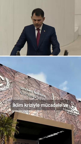 1ie0sE9gkUSuk0Rw.jpg