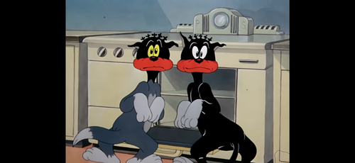 IMG 0662.png