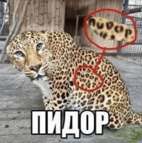 Discord ZUI60NRJkq.png