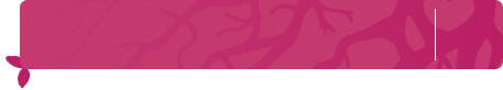 Bpink.png