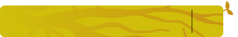 Iyellow.png