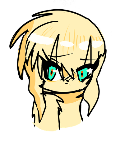 IMG 9392.png