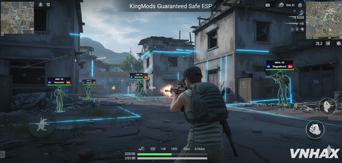 KingMods Guaranteed Safe ESP.jpg