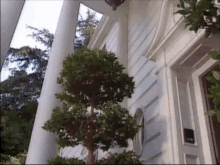 IMG 9235.gif
