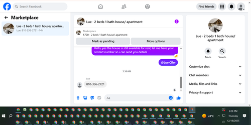 13.png