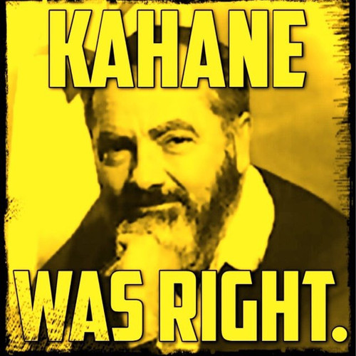 KahaneLiterature.jpg