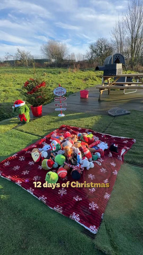 EM525 qEAZcI8VOl.jpg