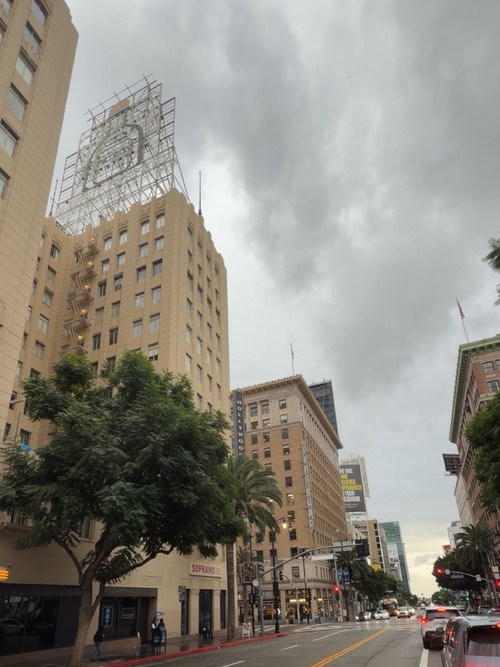 gavincroghan 1765650600 3783727278711757921 50328350639.jpg