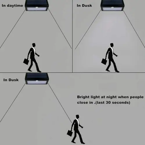 513PMoLTy3L. AC UF894,1000 QL80 FMwebp .webp