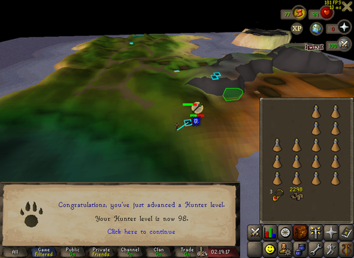 RuneLite ctWWzkitLO.png