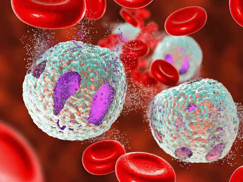 YV4H9CD Lsa5qRPV.jpg