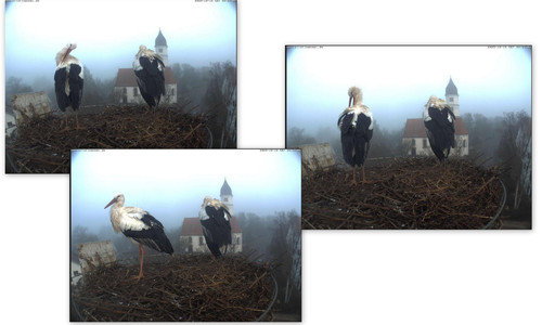Bilder10.jpg