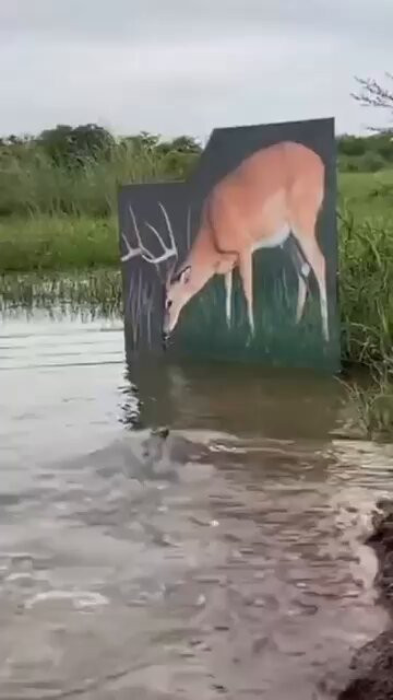 pDVHxb8f x5xZchs.jpg