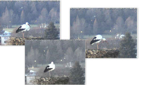 Bilder12.jpg