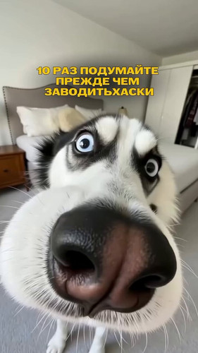 EJo ziFjaOiCJ73x.jpg