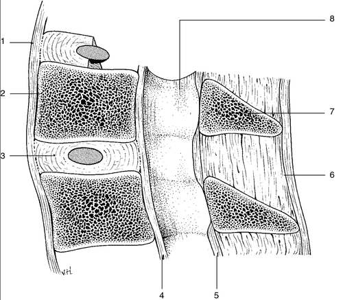 8c0f78069325.png