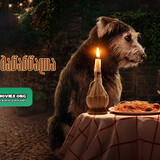 Lady And The Tramp 2019