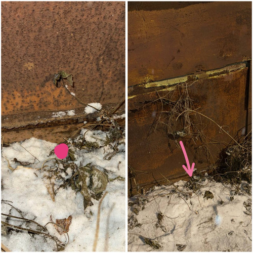 3D4BDC6E C097 4A5C A103 B2CFB6692569.jpg